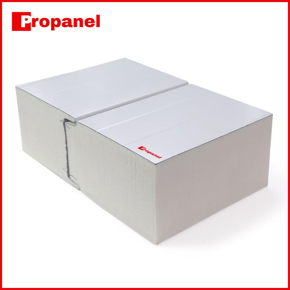 150mm cold room panel sample